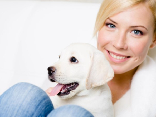 mascotas comunidad vecinos