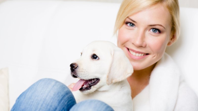 mascotas comunidad vecinos